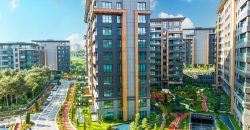 Çamlı Vadi project