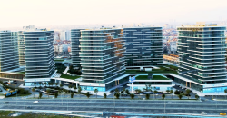 Yedi Mavi projec